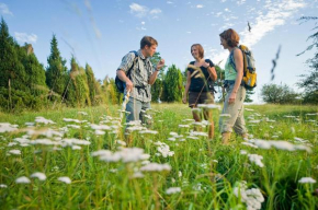 Nengshof Ferienhäuser Sonnenblume und Heublume